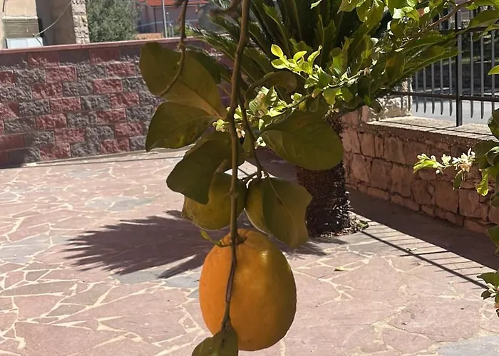 度假居 Bella Vista